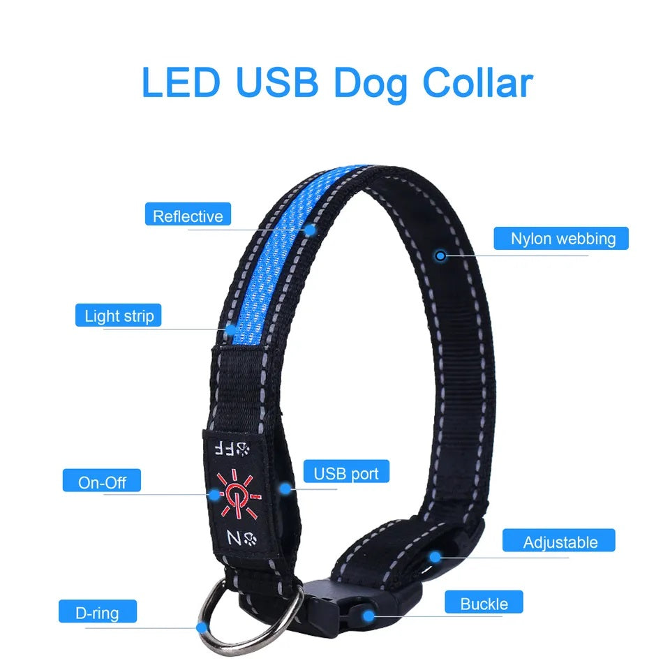 Collar Luz LED 3 modos Luz carga USB Perros Gatos Talla M Azul