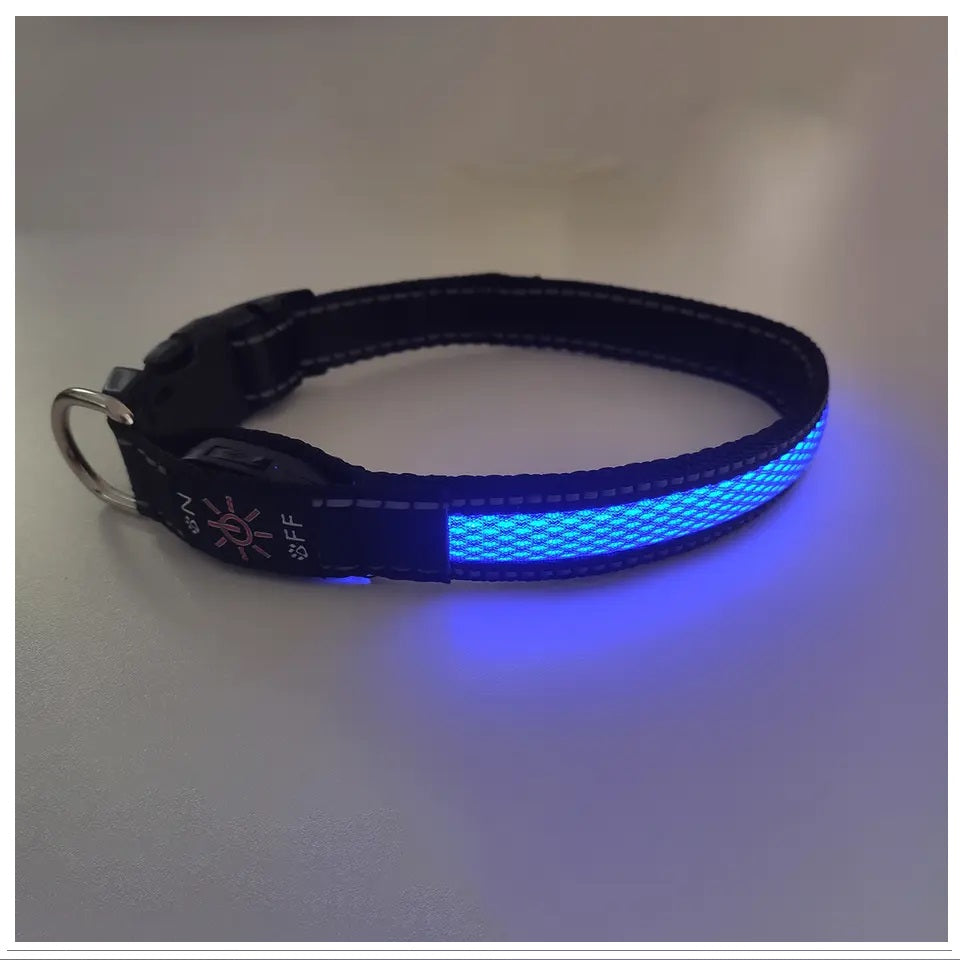 Collar Luz LED 3 modos Luz carga USB Perros Gatos Talla S Azul