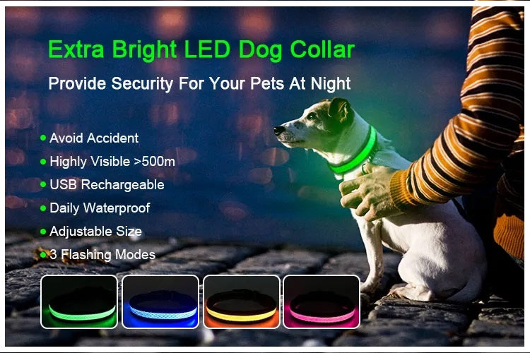 Collar Luz LED 3 modos Luz carga USB Perros Gatos Verde Talla S