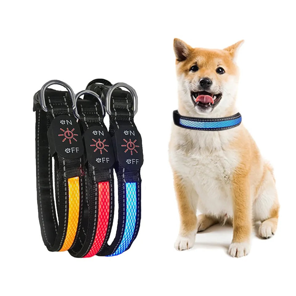 Collar Luz LED 3 modos Luz carga USB Perros Gatos Talla M Rojo