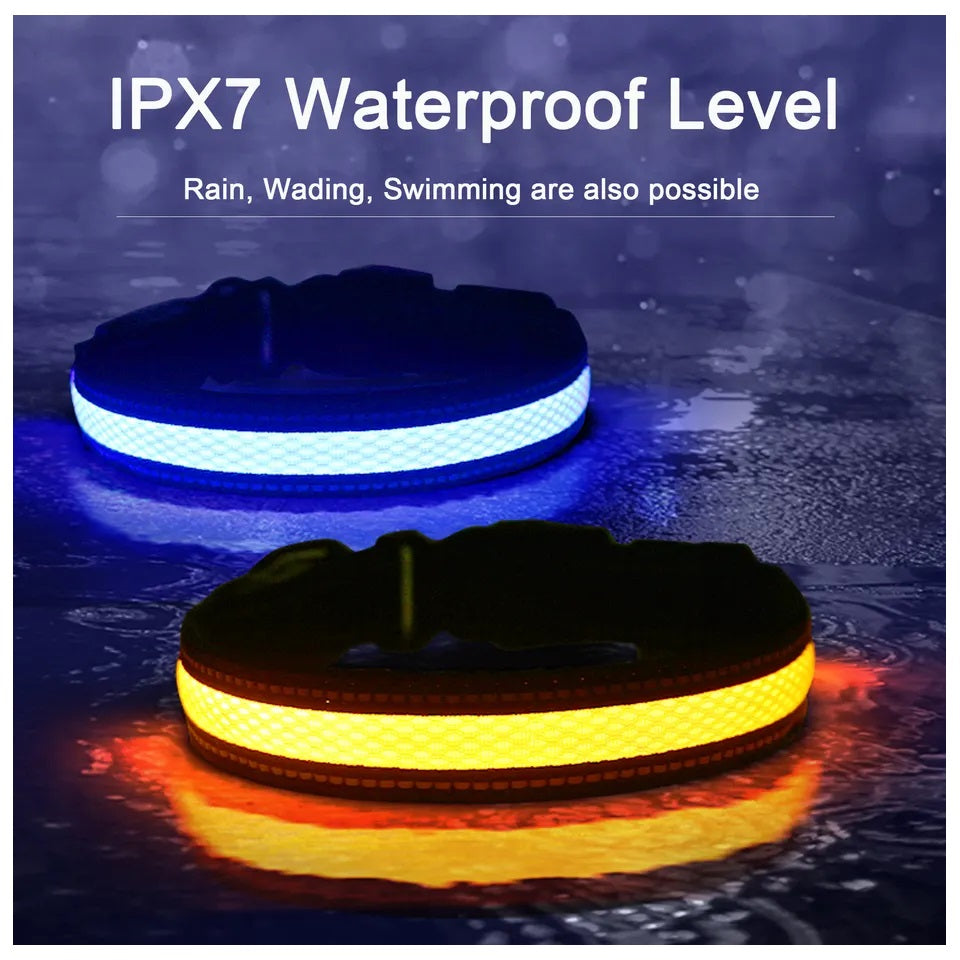 Collar Luz LED 3 modos Luz carga USB Perros Gatos Talla M Azul