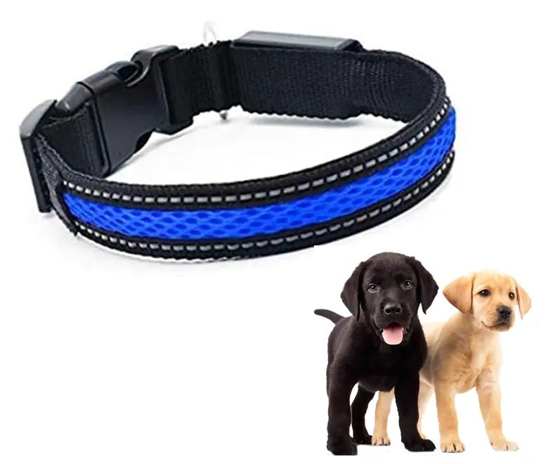 Collar Luz LED 3 modos Luz carga USB Perros Gatos Talla M Azul
