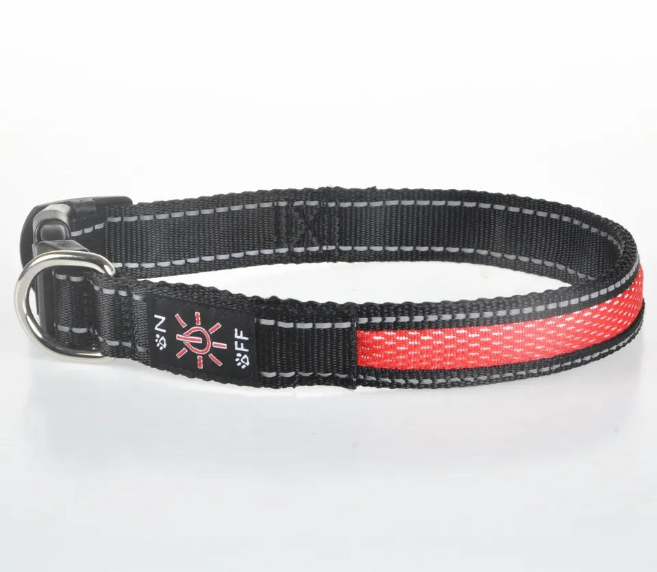 Collar Luz LED 3 modos Luz carga USB Perros Gatos Talla S Rojo