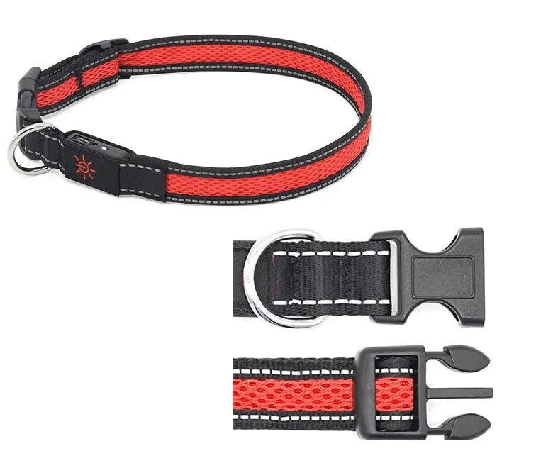 Collar Luz LED 3 modos Luz carga USB Perros Gatos Talla S Rojo