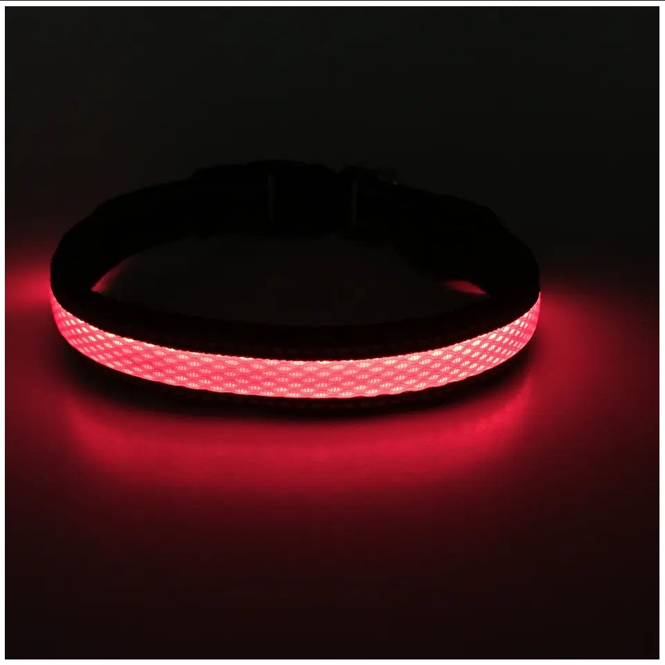 Collar Luz LED 3 modos Luz carga USB Perros Gatos Talla S Rojo