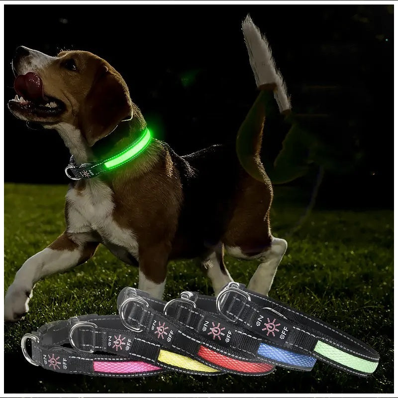 Collar Luz LED 3 modos Luz carga USB Perros Gatos Talla S Rojo