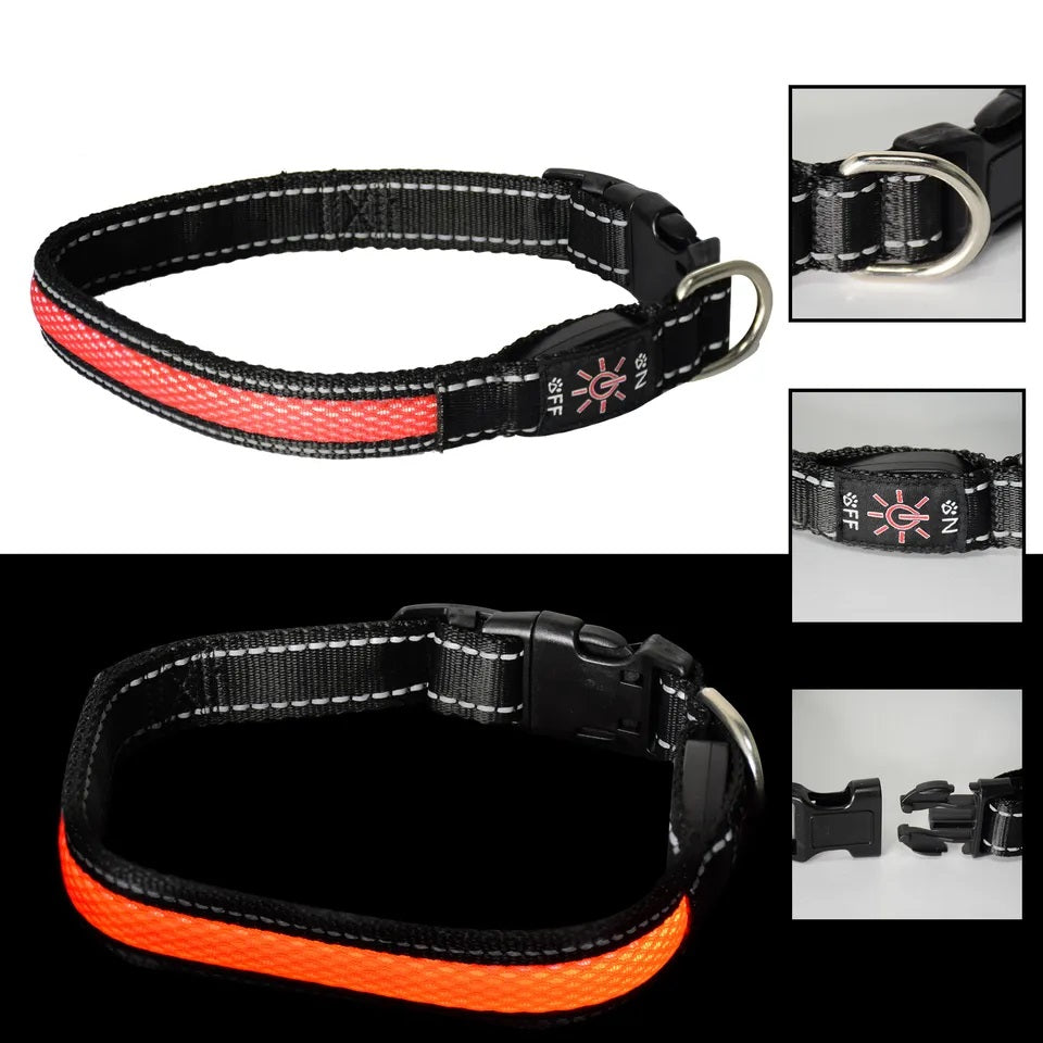 Collar Luz LED 3 modos Luz carga USB Perros Gatos Talla S Rojo
