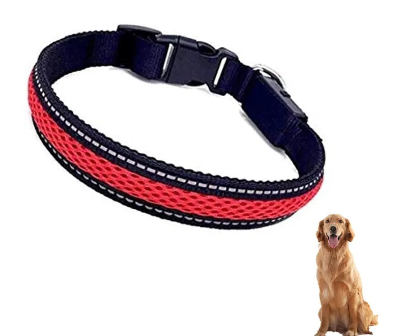Collar Luz LED 3 modos Luz carga USB Perros Gatos Talla S Rojo