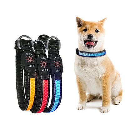 Collar Luz LED 3 modos Luz carga USB  Perros Gatos Talla S Rojo
