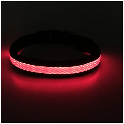 Collar Luz LED 3 modos Luz carga USB  Perros Gatos Talla S Rojo